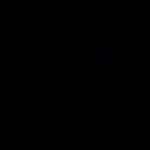 Meet your Posher, Afsheen